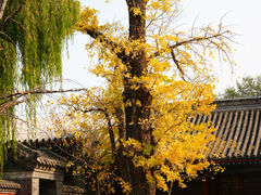 -承恩寺