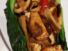 红烧什菌焖豆腐-龙记·香港茶餐厅(海上世界店)