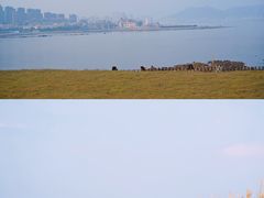 -小麦岛公园