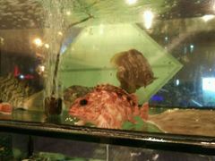 -合家小菜餐馆(新诚花苑店)