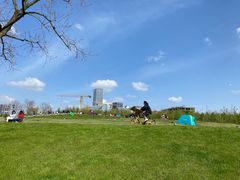 -上海山野camping·户外天幕烧烤·团建拓展营地