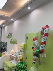 -凡碧诗毛孔清洁收细