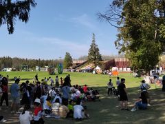 -黄海国家森林公园