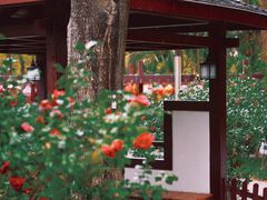 -深圳国际园林花卉博览园