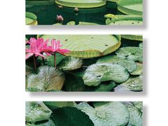 -曼听御花园