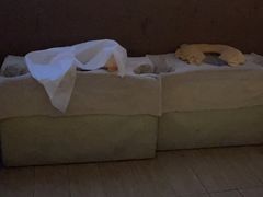 -良子足疗按摩