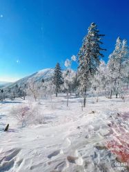 -大秃顶子山(雪谷店)