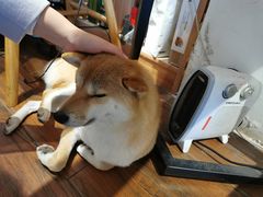 -About Bistro關於·泰式家庭料理