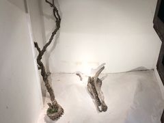 景观位-马头巷·红油大虾(苏州总店)