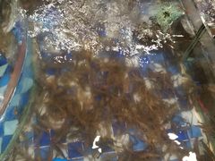 -新塘畔酒楼(里水大道北店)