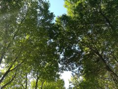 -北京国家会计学院