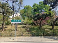 -八大关景区