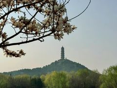 -北坞公园
