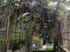 -乌山风景区