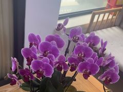 -张钰强中医正骨推拿连锁(华发商都店)