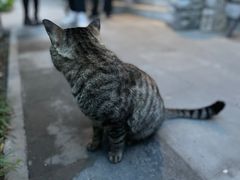 -万松老人塔