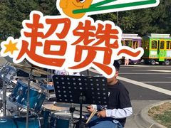 -丁香湖公园
