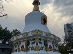 -护国法轮寺