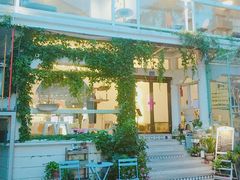 -有猫主题·治愈系猫咖(曾厝垵店)