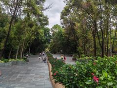 -深圳国际园林花卉博览园