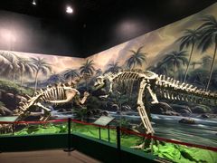 -珠海市博物馆