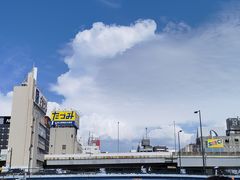 -道顿堀水上观光船(太左衛門橋船着場)