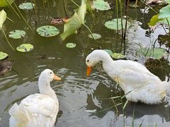 -渭河城市绿地运动公园