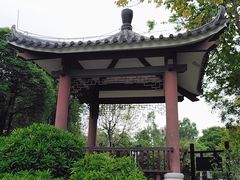 -大亚湾红树林城市湿地公园