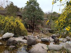 -五凤溪古镇