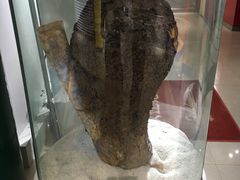 -上海昆虫博物馆