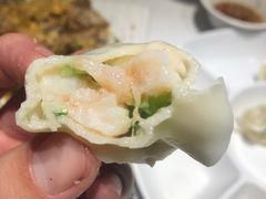 -开海·红岛海鲜虾水饺(石老人店)