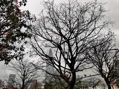 -深圳人才公园