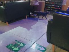 -莫比餐厅(五道口店)