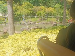 -狼山风景名胜区