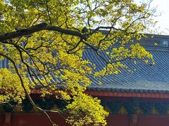 -灵顺寺
