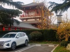 -唐御宴•御宴宫•唐代菜点(芙蓉西路店)
