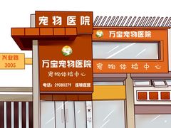 -创凡宠物医院·骨专科  猫科中心(西乡分院)