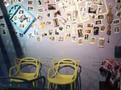 -喵屿·大理花园猫咖