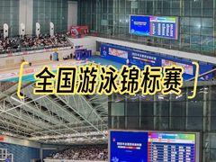 -奥体中心游泳馆