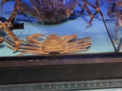 -阿伟海鲜楼·福建菜(延寿店)