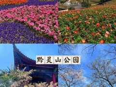 -黔灵山公园