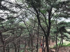 -北京鹫峰国家森林公园