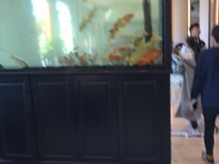 -玉雪春天(中正花园店)