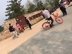-东郊湿地公园