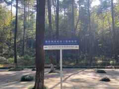 -瑶琳仙境