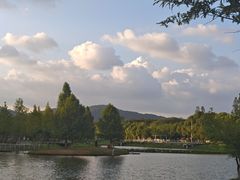 -佛手湖郊野公园