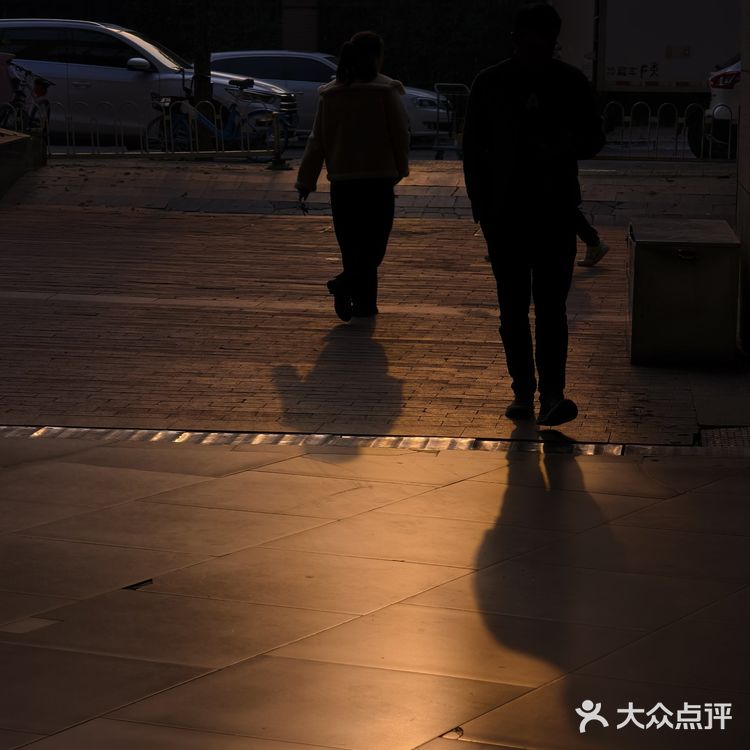 寻找城市的光点