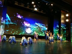 -美育儿童音乐舞蹈国际机构(浦东分校)