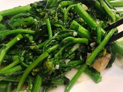 猪油渣菜心-美极鲜食坊(宝安南路店)