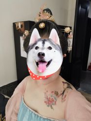 -盘子女人坊古装写真摄影(天津总店)